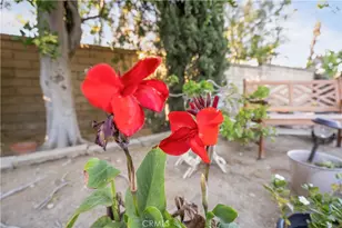 22395 Barbacoa, Saugus, CA 91350 - Photo 23