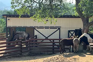 27513 Deer Creek Way, Keene, CA 93531 - Photo 45