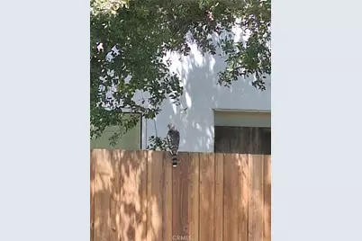 11944 Briarvale Lane, Studio City, CA 91604 - Photo 37