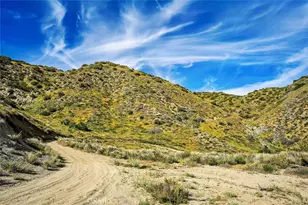 48725 Shallow Springs Rd, Leona Valley, CA 93551 - Photo 13