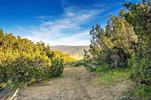 48725 Shallow Springs Rd, Leona Valley, CA 93551 - Photo 33