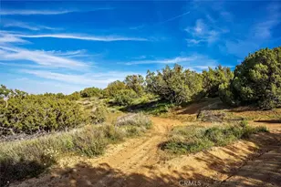 48725 Shallow Springs Rd, Leona Valley, CA 93551 - Photo 3