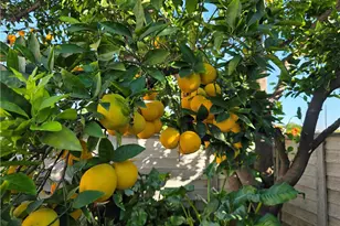 16264 Kalisher St, Granada Hills, CA 91344 - Photo 23