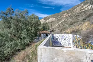 12571 Capra, Agua Dulce, CA 91390 - Photo 7