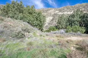 12571 Capra, Agua Dulce, CA 91390 - Photo 21
