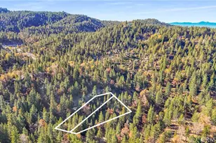 32703 Tulip Ln, Arrowbear, CA 92382 - Photo 57