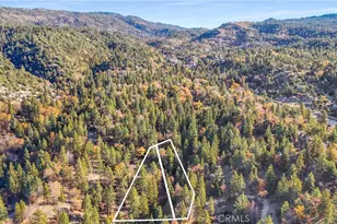 32703 Tulip Ln, Arrowbear, CA 92382 - Photo 55