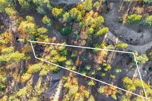 32703 Tulip Ln, Arrowbear, CA 92382 - Photo 45