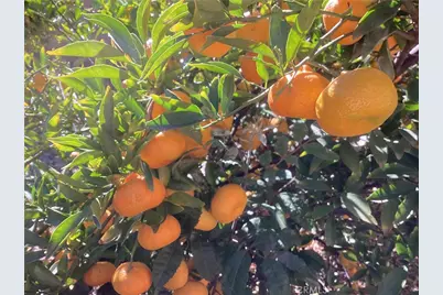 17147 Vintage, Northridge, CA 91325 - Photo 37