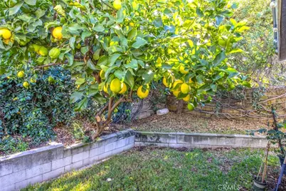 618 Mount Carmel Drive, Claremont, CA 91711 - Photo 51