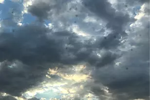 13691 Gavina Ave, Sylmar, CA 91342 - Photo 41