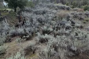 15532 San Moritz, Pine Mountain Club, CA 93222 - Photo 1