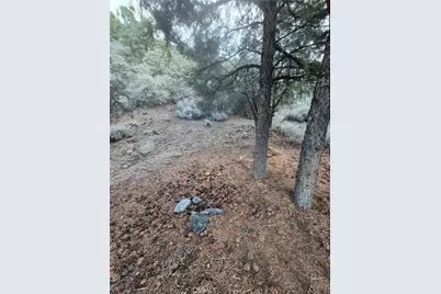 15532 San Moritz, Pine Mountain Club, CA 93222 - Photo 5