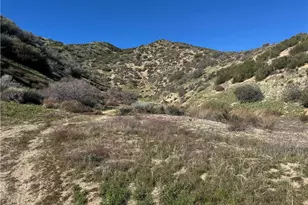 0 Munz Ranch Rd/150 W, Del Sur, CA 93536 - Photo 1