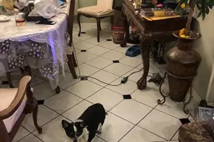 6301 Coldwater Canyon, North Hollywood, CA 91606 - Photo 3