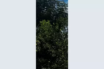 9667 Hillheaven Avenue, Tujunga, CA 91042 - Photo 1