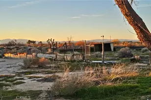 49019 120th St, Lancaster, CA 93535 - Photo 57