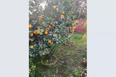 1335 N Niagara Street, Burbank, CA 91505 - Photo 21