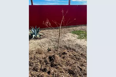 171 Ste Vic Avenue Q2, Palmdale, CA 93591 - Photo 41