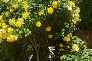 3359 W J2 Ave, Lancaster, CA 93536 - Photo 5