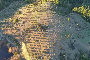 47211 Fox Rock, Laytonville, CA 95454 - Photo 13