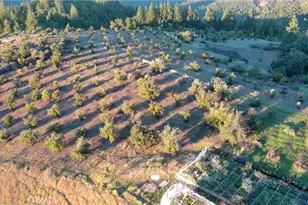 47211 Fox Rock, Laytonville, CA 95454 - Photo 11