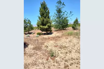 10376 55th Street, Mojave, CA 93501 - Photo 7
