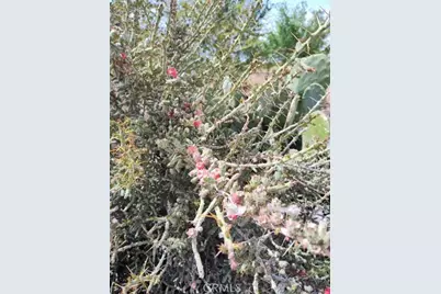 10376 55th Street, Mojave, CA 93501 - Photo 11