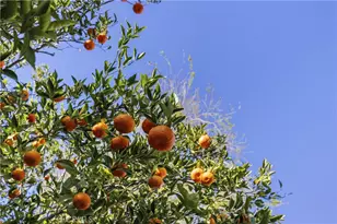 13573 Eldridge, Sylmar, CA 91342 - Photo 37