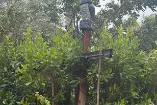 28512 Meadow Heights Ct, Canyon Country, CA 91387 - Photo 3