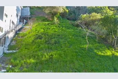 9814 Portola Drive, Beverly Hills, CA 90210 - Photo 5