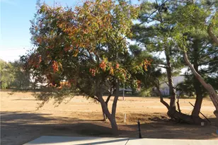 3840 Lupine, Rosamond, CA 93560 - Photo 53