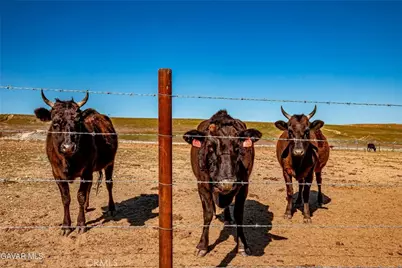 45408 160th, Lancaster, CA 93536 - Photo 49