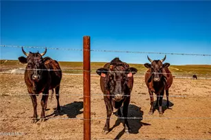 45408 160th, Lancaster, CA 93536 - Photo 49