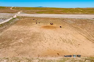 45408 160th, Lancaster, CA 93536 - Photo 57