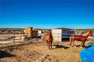 45408 160th, Lancaster, CA 93536 - Photo 43