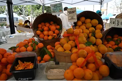 12060 Hoffman Street #103, Studio City, CA 91604 - Photo 25