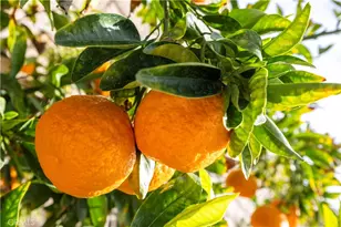 28972 Lotusgarden, Canyon Country, CA 91387 - Photo 45