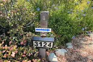 3124 Goodview Trail, Los Angeles, CA 90068 - Photo 3