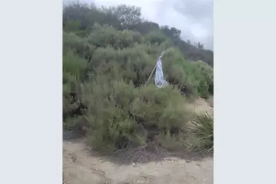 10157 Durkee Avenue, Tujunga, CA 91042 - Photo 11