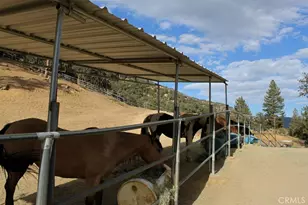 16324 Grizzly, Pine Mountain Club, CA 93222 - Photo 31