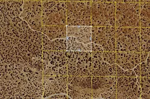 0 Nearby 120th St E/Ave N6, Palmdale, CA 93591 - Photo 1