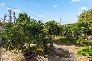 4901 Siesta Dr, Oceanside, CA 92057 - Photo 7