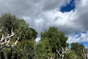 21214 Seep Willow Way, Canyon Country, CA 91351 - Photo 29