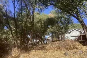 20197 Chaparral, Penn Valley, CA 95946 - Photo 15