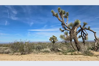 0 Fort Tejon Rd Vicinity 181st St E, Llano, CA 93544 - Photo 17
