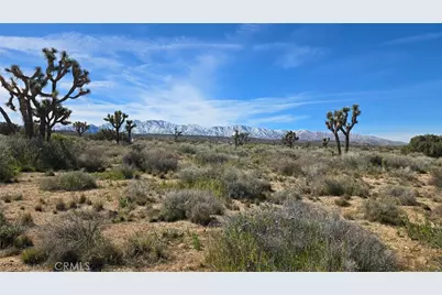 0 Fort Tejon Rd Vicinity 181st St E, Llano, CA 93544 - Photo 37