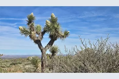 0 Fort Tejon Rd Vicinity 181st St E, Llano, CA 93544 - Photo 29