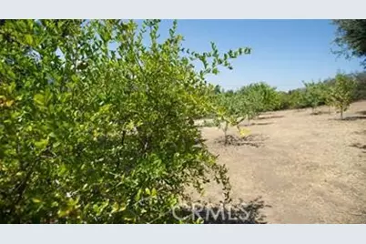 12145 Twin Springs Road, Descanso, CA 91916 - Photo 17