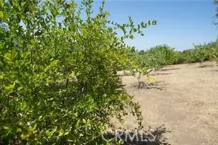 12145 Twin Springs Rd, Descanso, CA 91916 - Photo 17